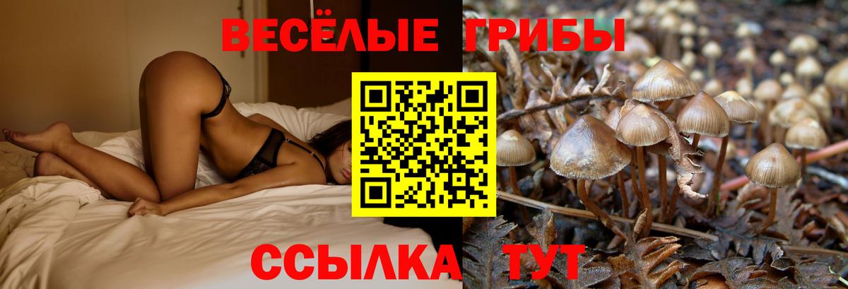 Галлюциногенные грибы прущие грибы Майский